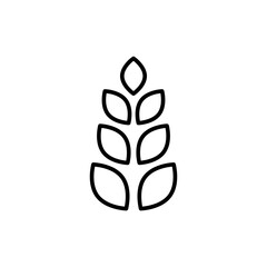 Wheat outline icons, minimalist vector illustration ,simple transparent graphic element .Isolated on white background