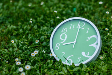 A round green clock with a white frame lies on the ground covered with green grass and leaves and tiny little flowers and shows 8 o'clock