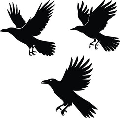Obraz premium Flying Birds Silhouettes, Flying Birds Clip Arts, Flying Birds