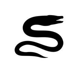 Fototapeta premium Eel silhouette vector illustration isolated on a white background 
