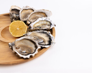 plate of fresh raw oysters isolated on white background, top view