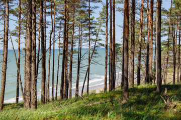 Staldzene steep coast beach at the Baltic sea in June in summer in Ventspils in Latvia
