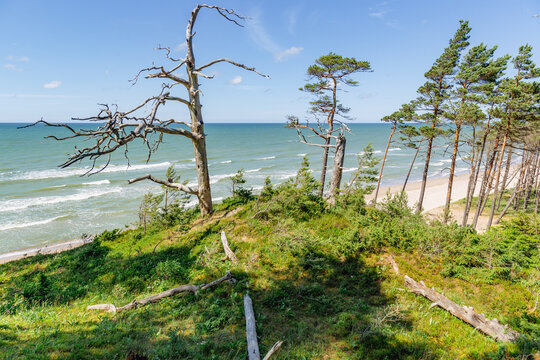 Staldzene steep coast beach at the Baltic sea in June in summer in Ventspils in Latvia