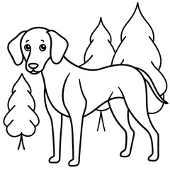 Dog breeds coloring pages