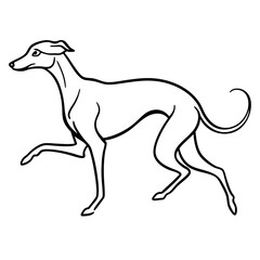 Dog breeds coloring pages