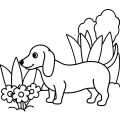 Dog breeds coloring pages