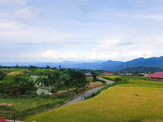 Fototapeta premium The most beautiful village in the world with beautiful views of yellow rice fields is immortalized in Nagari Tuo Pariangan, Indonesia