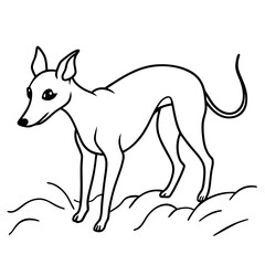 Dog breeds coloring pages