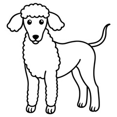 Dog breeds coloring pages