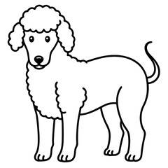 Dog breeds coloring pages
