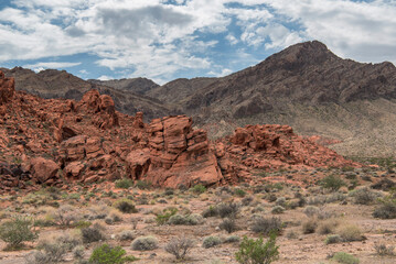 Valley of Fire landscape Moapa Valley Nevada