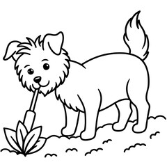 Dog breeds coloring pages