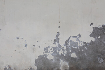 Damaged by humidity grunge wall paint background texture