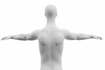 3d cgi image of a human torso showing head to belly, plain, no features, featureless, white