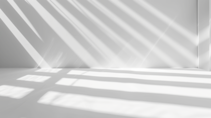 Abstract white interior with shadows on the wall. 3d render illustration