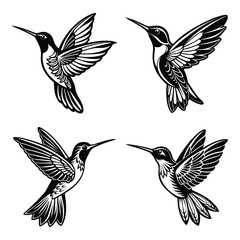 Elegant Hummingbird Silhouette and Logo Designs: Stunning Black and White Bird Icons for Your Projects