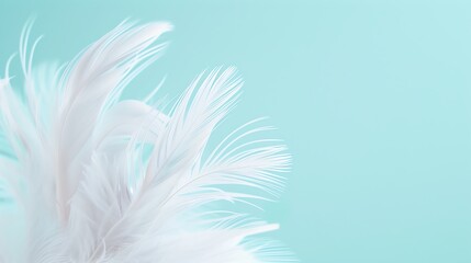 Soft white feathers against a pastel blue background, showcasing delicate texture and airy lightness, perfect for calm and serene themes.
