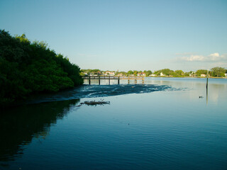 Fototapeta premium Wide view of Coffee Pot Park bayou in St. Petersburg, Florida with blue water and sky. Wood dock on the left side on a sunny day. Near sunset with reflections. Looking south on a calm day in St. Pete