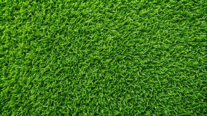 green grass background