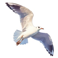 Obraz premium Digital illustration of a seagull in mid-flight against a white background, showcasing its wings and detailed feathers.