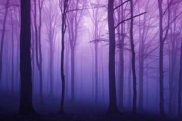 Obraz premium A forest with trees that are mostly bare and have a foggy atmosphere