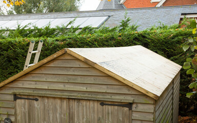 Wooden shed in a UK garden after removing old felt roof.