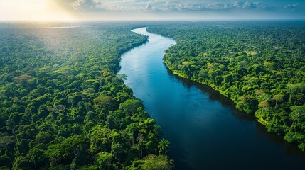 An aerial shot captures a flowing river amid dense rainforest under a setting sun, highlighting the vibrant greens of the flora contrasting against the calm water.