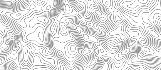 Abstract Topographic map background with wave line. Panorama view gradient multicolor wave curve lines banner background design. Vector illustration. wave Line topography map contour background.