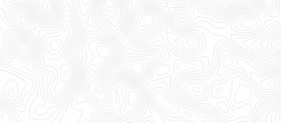 Abstract Topographic map background with wave line. Panorama view gradient multicolor wave curve lines banner background design. Vector illustration. wave Line topography map contour background.