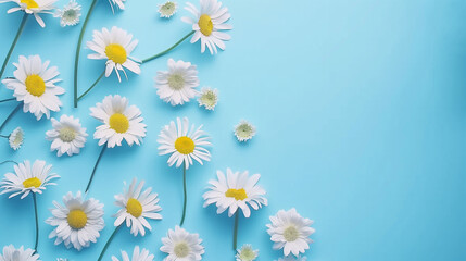 White daisies scattered on a blue background