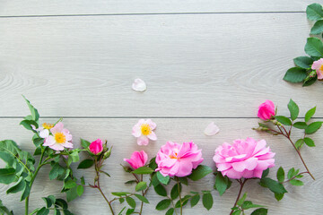 light wooden background with bright pink roses