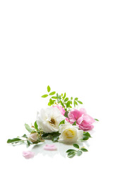 wooden light background with white and pink roses