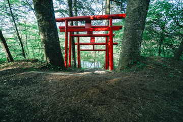 忍野八海の美しい風景