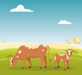 Domestic farm animal. A cow and a small calf are grazing in a meadow. Rural hills. Scenery.