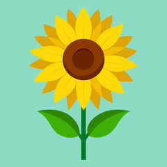 vector illustration of sunflower