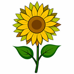 Fototapeta premium vector illustration of sunflower