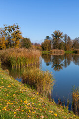 Landscape in the countryside by the lake on a sunny October day. A quiet place to relax by the water.