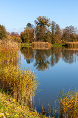 Landscape in the countryside by the lake on a sunny October day. A quiet place to relax by the water.