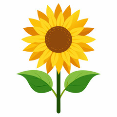 vector illustration of sunflower
