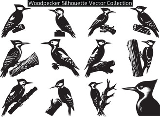 Naklejka premium Set of Woodpecker Silhouette Vector