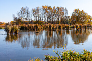 Landscape in the countryside by the lake on a sunny October day. A quiet place to relax by the water.