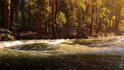 Seamlessly looping video of the morning sun on the Merced River as it runs through Yosemite National Park in California. Slow Motion.