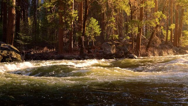 Seamlessly looping video of the morning sun on the Merced River as it runs through Yosemite National Park in California. Slow Motion.