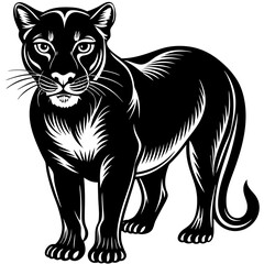 Black panther silhouette isolated on white background