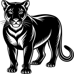 Black panther silhouette isolated on white background