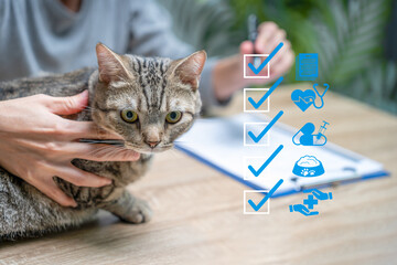 Pet health check, nutritional care concept, Close tabby cat on the table, Woman holding a cat and...