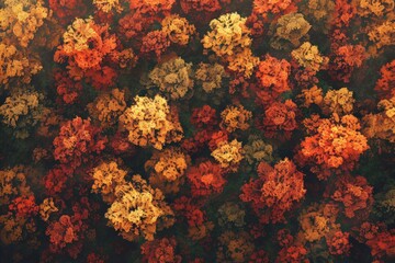 A vibrant overhead view of a forest in autumn, showcasing colorful foliage in shades of red, orange, and yellow, highlighting the autumnal beauty.