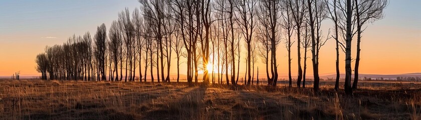 Obraz premium bosque bnTfBy1tMcVbm4bY