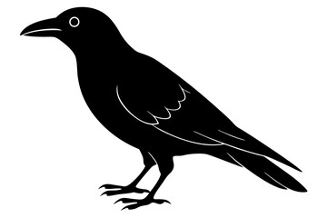 crow ,vector , silhouette , illustration .
