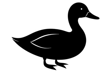 duck ,vector ,silhouette , illustration.
